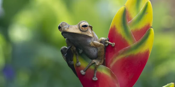 Cultural Tourism in Costa Rica